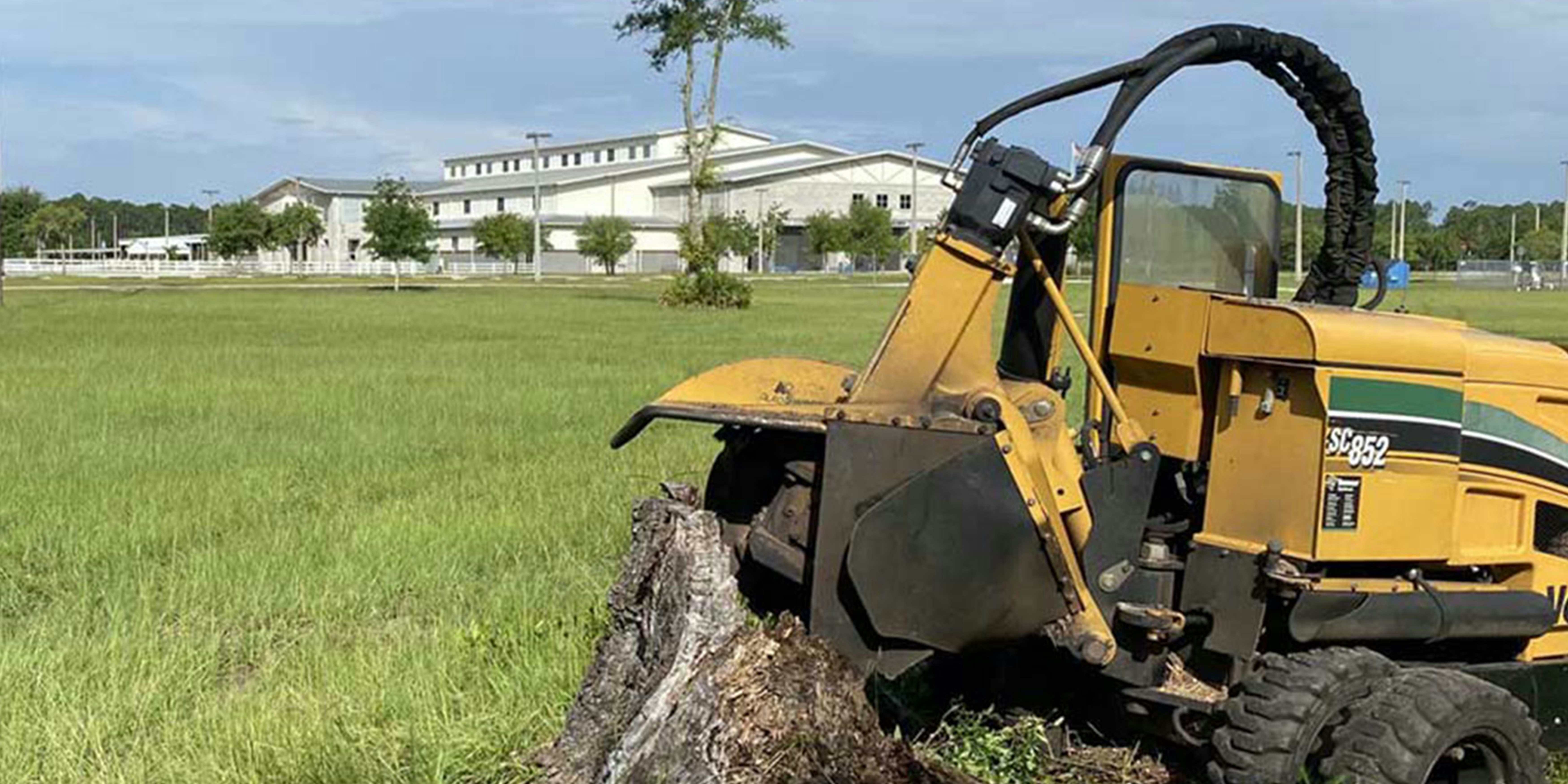 Stump Grinding